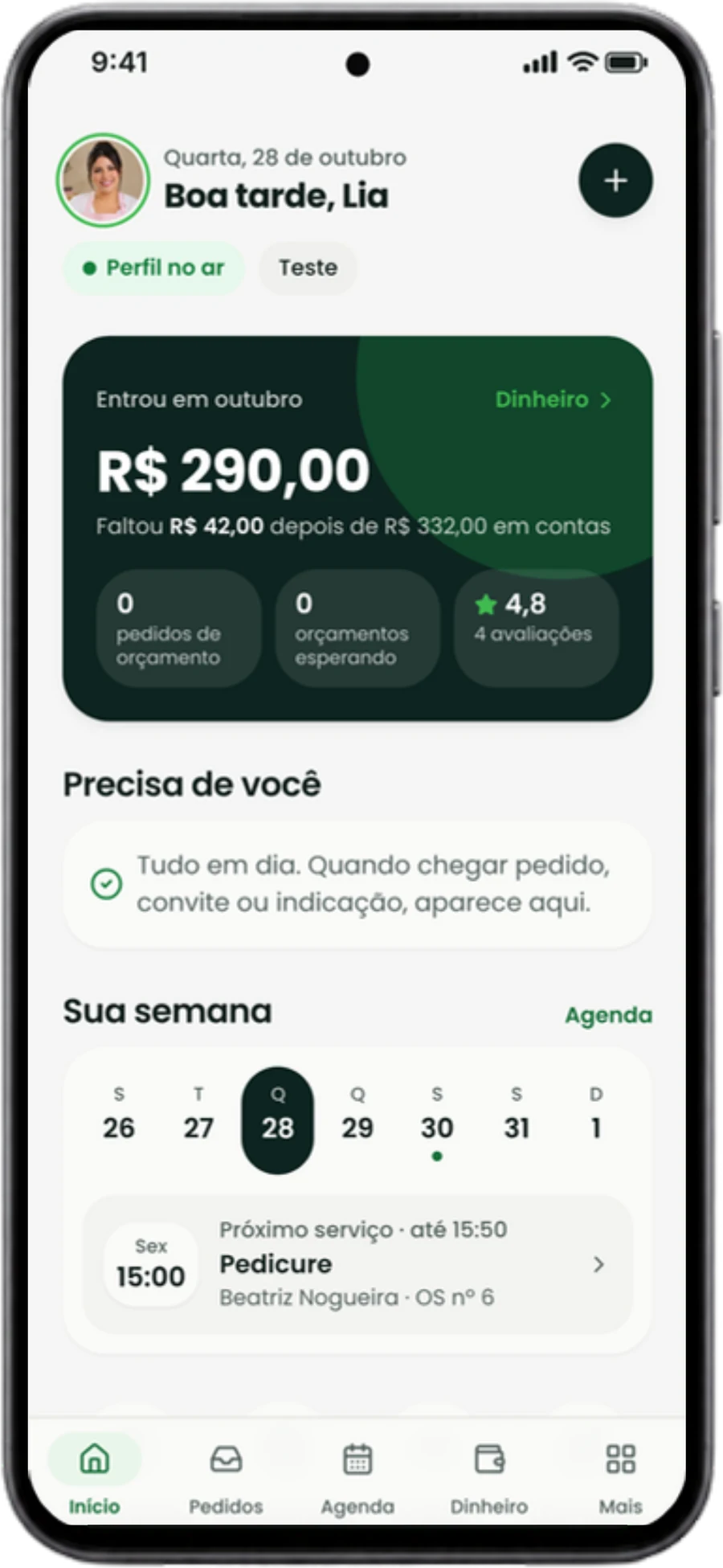 O Início do profissional no celular, com o que entrou no mês e a agenda